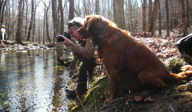 The Photographer